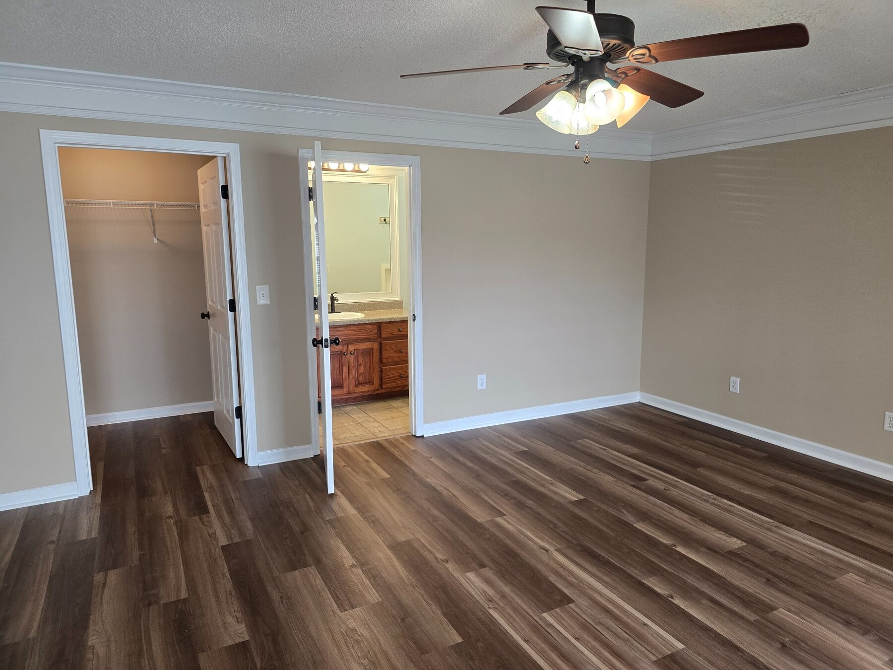 Large bedroom with access to bathroom vanity and walk-in closet